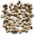 NEU Mini Holzscheiben Mix, � 7-10 mm, St�rke 4-5 mm, 230 g Bild 2