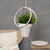 NEU Bambusring, � 15 cm Bild 2