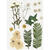 SALE Trockenblumen-, Bl�tter-Sortiment, flach gepresst, Naturwei�