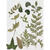 SALE Bl�tter-Sortiment, getrocknet, flach gepresst, Gr�n