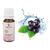 SALE Sapolina Seifenduft, 10 ml, Blaubeere - Blaubeere