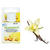 Kerzen-Duft�l, 10ml Flasche, Vanille - Vanille