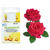 Kerzen-Duft�l, 10ml Flasche, Rose - Rose