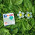 NEU Fimo Effect 57g, Botanical Spinat Gr�n Bild 3