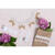 SALE Samtbord�ren-Set, Spitze Bild 2