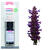 Duftstoff f�r Seife 10ml Patschuli - Patschuli