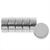 Glorex Magnetscheiben, extra stark, 6 St�ck