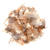 Marabu-Federn Gro�packung, 10 g, naturbraun