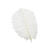 Straussenfeder, 20 cm, 2 St�ck, Wei�