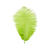 SALE Straussenfeder, 20 cm, 2 St�ck, Hellgr�n