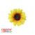 Box mit Sonnenblumen, 30 St�ck, ca. 40mm