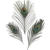 Pfauenfedern, ca. 20 cm, 3 St�ck