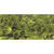 Rayher Pailletten gew�lbt, waschbar, 6mm �, 4000 St�ck, oliv Bild 3