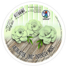 Faltbl�tter Rund, intensiv durchgef�rbt, 100 Blatt, � 12 cm, 65g/qm, Mint