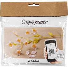 Kreativ Set Floristen-Krepppapier, Kirschzweig, Extrastarkes Krepp, 105 g