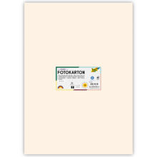 Fotokarton 300g/qm 50x70 cm, Hellbeige, 1 Bogen