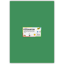 Fotokarton 300g/qm 50x70 cm, Moos-Gr�n, 1 Bogen