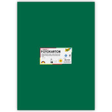 Fotokarton 10 Bogen, 300 g/qm, 50x70 cm, Tannengr�n