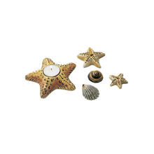 SALE Gie�form Maritim mit Kerzenhalter 4-7cm, � 12cm