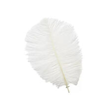 Straussenfeder, 20 cm, 2 St�ck, Wei�