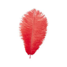 Straussenfeder, 20 cm, 2 St�ck, Rot