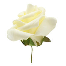 NEU Deko-Rosen, creme, Gr��e 5 cm, Herzbox mit 12 St�ck