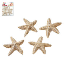 Hobbyfun Mini Seestern 2 cm, 4 St�ck im Beutel
