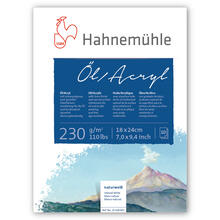 SALE Hahnem�hle �l- und Acrymalblock, 230g/m�, 10 Blatt, 18x24cm