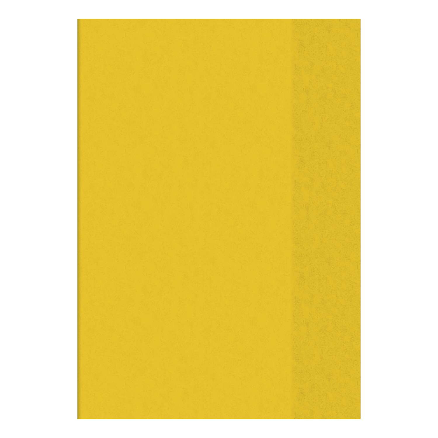NEU Hefth�lle DIN A4, transparent-gelb