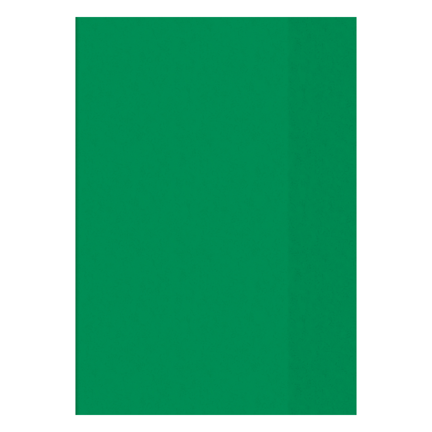 NEU Hefth�lle DIN A4, transparent - Verschiedene Farben