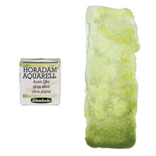 NEU Horadam Aquarell Super Granulation, 1/2 N�pfchen, Auen Oliv