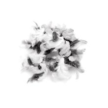 SALE Deco-Federn, Wei�-Schwarz-Grau, 2g