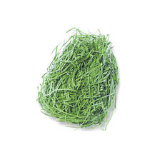 SALE Ostergras, 30g-Beutel PREISHIT